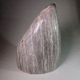 FOSSILISED WOOD (GORGEOUS POLISHED PIECE) - Java, Indonesia
