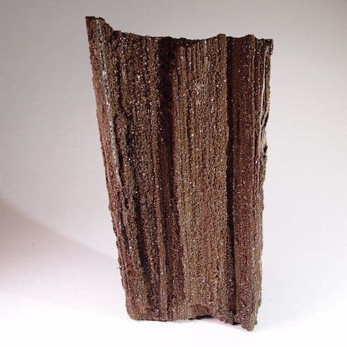 FOSSILISED WOOD LIGNITE COATED WITH SPARKLING QUARTZ CRYSTALS - Germany