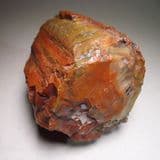 FOSSILISED WOOD (Natural piece) - Arizona, U.S.A.