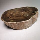 FOSSILISED WOOD (polished end of log) - 200 million years old - Zimbabwe