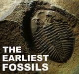 FOSSILS FROM THE PRECAMBRIAN AND PALAEOZOIC ERAS