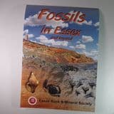 FOSSILS IN ESSEX AND BEYOND (NEW COPY)