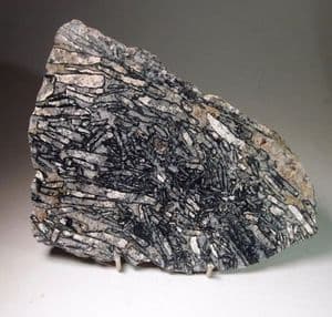 FOX TOR BRECCIA (cut and polished slice) - Dartmoor, Devon