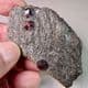 GARNET CRYSTALS IN MICA SCHIST  - Alaska