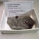 GARNET CRYSTALS IN MICA SCHIST  - Alaska