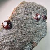 GARNET CRYSTALS IN MICA SCHIST - Alaska