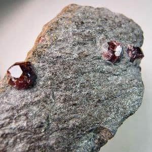 GARNET CRYSTALS IN MICA SCHIST - Alaska