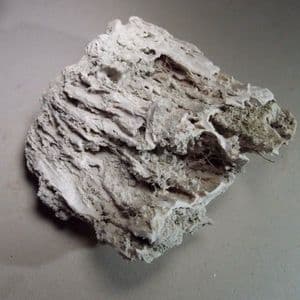 GEYSERITE (siliceous sinter)  -   New Zealand