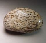 GRAPHIC GRANITE (polished) - Madagascar