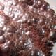 HEMATITE (KIDNEY IRON ORE)  -  Florence Mine, Egremont, West Cumbria