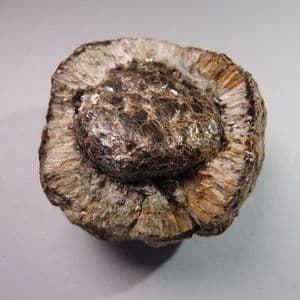 HERMANOV SPHERE - Czech Republic