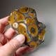 HERTFORDSHIRE PUDDINGSTONE  (CUT AND POLISHED SLICE)