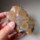 HERTFORDSHIRE PUDDINGSTONE  (CUT AND POLISHED SLICE)