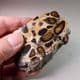 HERTFORDSHIRE  PUDDINGSTONE  (CUT AND POLISHED SLICE)