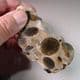 HERTFORDSHIRE  PUDDINGSTONE (CUT AND POLISHED SLICE)