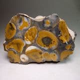 HERTFORDSHIRE PUDDINGSTONE  (CUT AND POLISHED SLICE)
