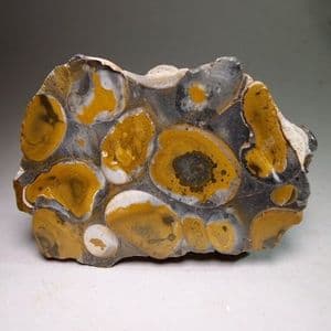 HERTFORDSHIRE PUDDINGSTONE  (CUT AND POLISHED SLICE)