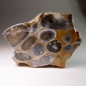 HERTFORDSHIRE PUDDINGSTONE (CUT AND POLISHED SLICE)