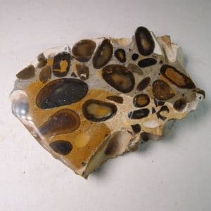 HERTFORDSHIRE  PUDDINGSTONE  (CUT AND POLISHED SLICE)