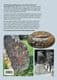 HERTFORDSHIRE PUDDINGSTONE: ORIGIN, HISTORY AND FOLKLORE (NEW COPY)