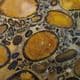 HERTFORDSHIRE PUDDINGSTONE (VERY FINE EXAMPLE) - Cut and polished