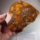 HERTFORDSHIRE PUDDINGSTONE (VERY FINE EXAMPLE) - Cut and polished