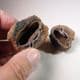 HOLLOW IRONSTONE CONCRETION -  Bedfordshire