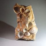 HOLOCENE SHELLY SANDSTONE - Essex