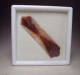 HOURGLASS SELENITE CRYSTAL IN GLASS DISPLAY BOX - Oklahoma, USA