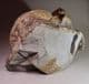 JURASSIC AMMONITE (large and impressive example)  -  190 million years old  - Charmouth,  Dorset