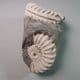 JURASSIC AMMONITES (NODULE WITH TWO AMMONITES) - 185 million years old - Germany