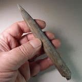 JURASSIC BELEMNITE - 160 million years old - Cambridgeshire