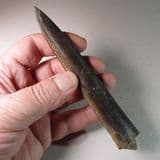 JURASSIC BELEMNITE  - 160 million years old  -  Cambridgeshire