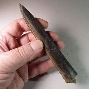 JURASSIC BELEMNITE  - 160 million years old  -  Cambridgeshire