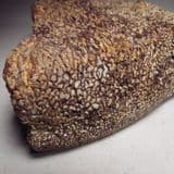 JURASSIC DINOSAUR BONE - 155 million years old - Oxfordshire