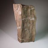 JURASSIC FOSSILISED LOG WITH KNOT HOLES - Charmouth, Dorset