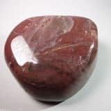 JURASSIC FOSSILISED WOOD - POLISHED COBBLE - Madagascar