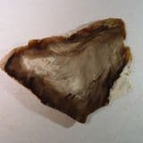 JURASSIC FOSSILISED WOOD (POLISHED SLICE) - Utah, USA