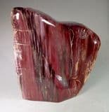 JURASSIC FOSSILISED WOOD - SPECTACULAR RED POLISHED PIECE - Madagascar