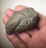 JURASSIC ICHTHYOSAUR COPROLITE WITH FISH REMAINS - 190 million years old - Lyme Regis, Dorset