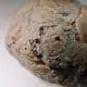 JURASSIC ICHTHYOSAUR COPROLITE WITH FISH SCALES -  190 million years old  - Lyme Regis, Dorset