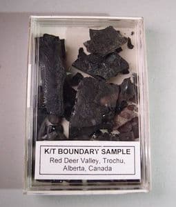 K/T BOUNDARY SAMPLE - Alberta, Canada