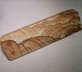 KANAB PICTURE SANDSTONE (UNUSUAL TRIANGULAR CUT PIECE) - Utah, USA