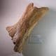 LEG BONE OF A WOOLLY RHINOCEROS  - 20,000 years old - Cambridgeshire