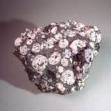 LEUCITE CRYSTALS IN LAVA - Italy