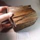 LOG OF FOSSILISED WOOD FROM SAUDI ARABIA