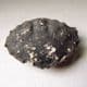 LONDON CLAY FOSSIL CRAB - (Zanthopsis leachii) - 50 million years old  -  Isle of Sheppey, Kent