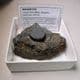 MAGNETITE CRYSTALS -  Dartmoor, Devon