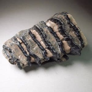 MAMMOTH TOOTH - Hungary