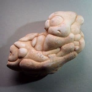 MENILITE  -  Morocco